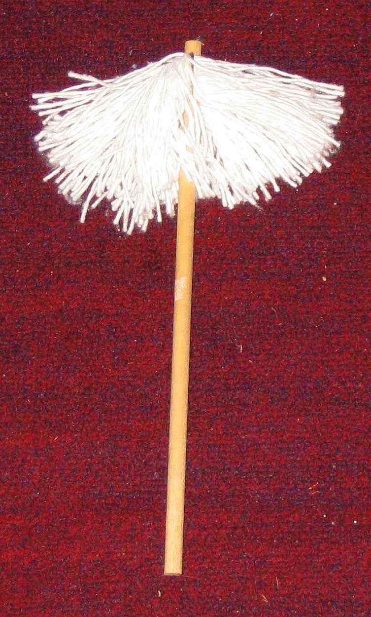 a mop
