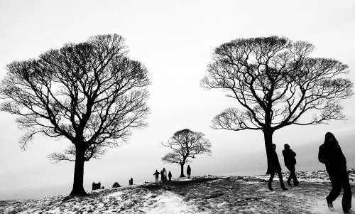 Christmas by Eleanor Bennett