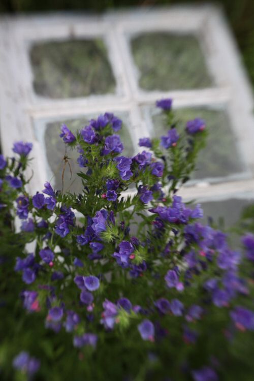 Fallen View by Fabrice Poussin