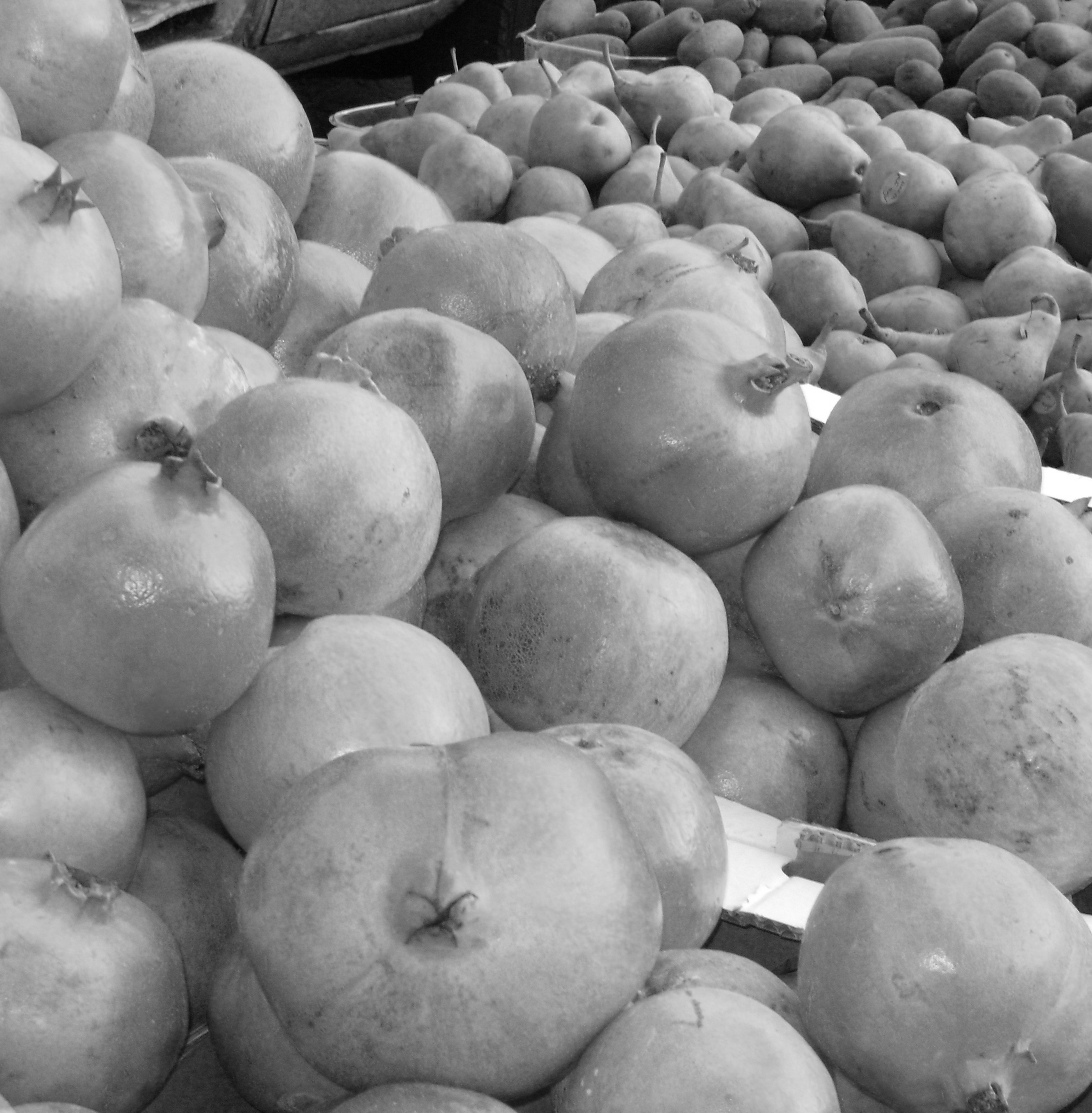 Pomegranates by KJ Hannah Greenberg