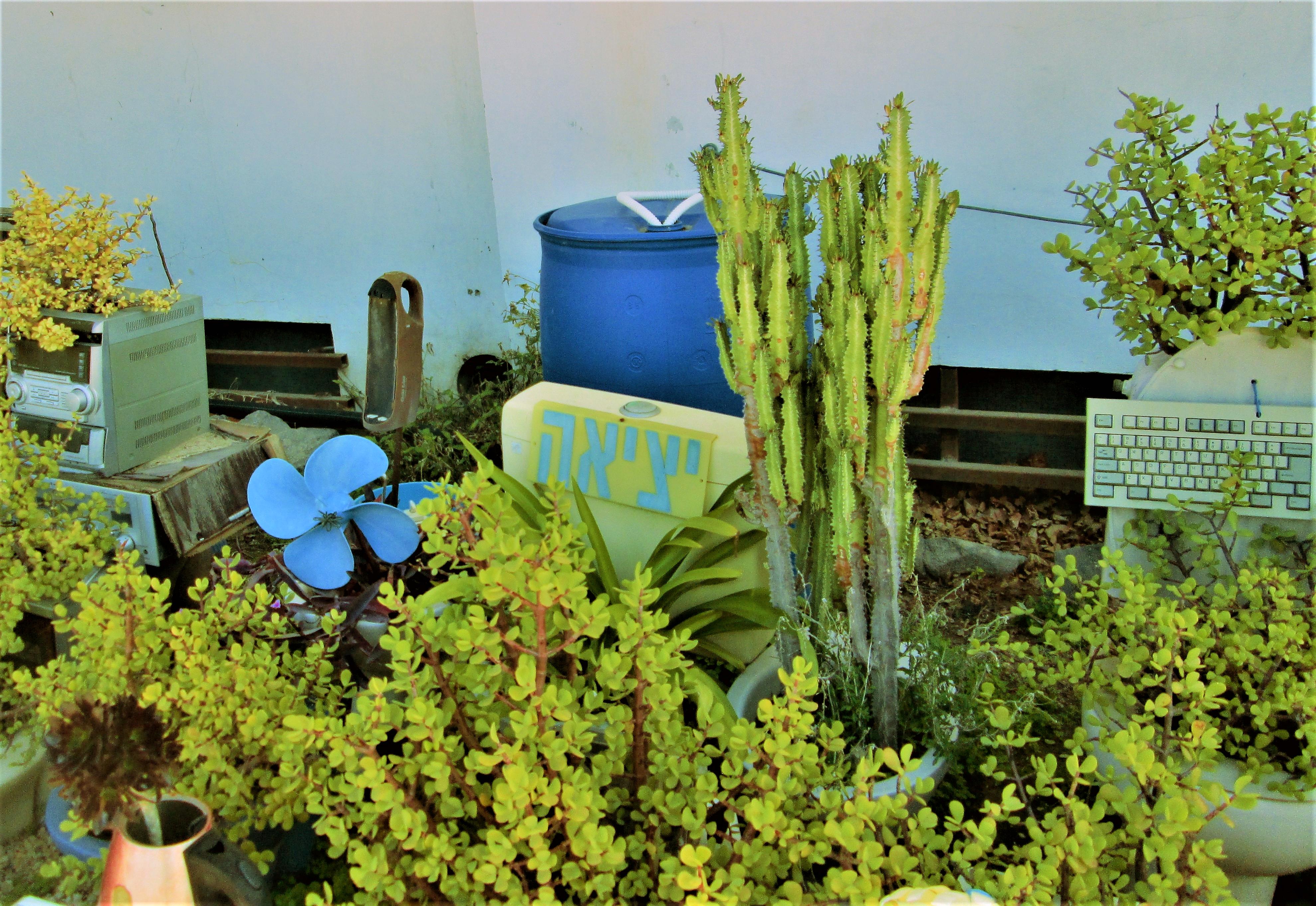 Cactus-Filled Exit by KJ Hannah Greenberg