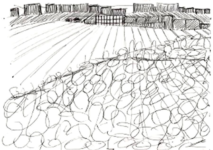 Valley View by KJ Hannah Greenberg