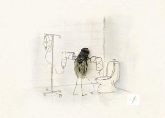 fly
