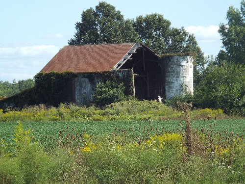 Barn by Wayne Russell